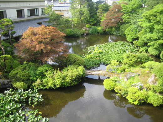 千葉旅館　中庭