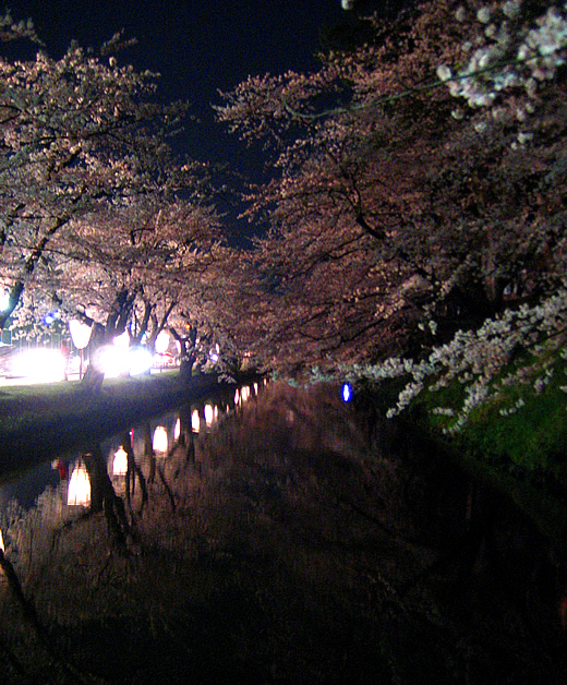 弘前公園さくらまつり