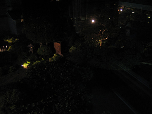 夜の中庭