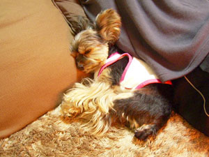 病院は疲れたよ