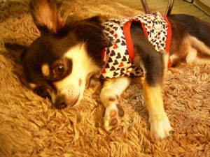 え？なになに！？