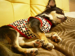 食後のお休みタイムzzz