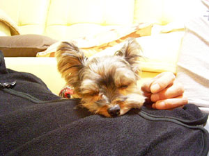 つまんないの・・