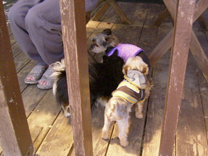 くんくんされてる・・