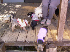 こっちもくんくん・・