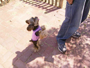 抱っこしてください！！