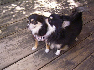 ひそひそ・・ひそそ