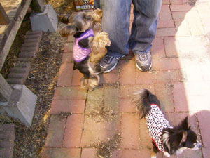 ね！抱っこ！抱っこ！抱っこ！！