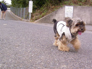 こっち向いて～