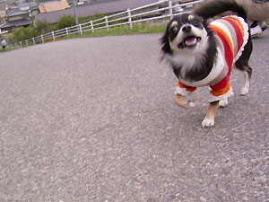 はしゃぎすぎ^^;