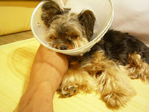 腕枕、きもちいいなぁ～