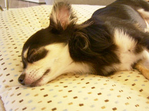 待つのも疲れるよね・・