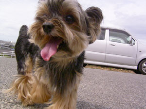 お外、久しぶり♪