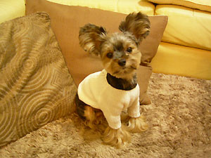 クリス5歳の誕生日♪