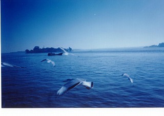 2005-08-25 07:31:56