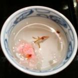 桜茶