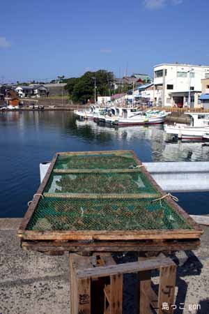 島クイズ６月　１