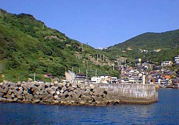 11月島クイズ１
