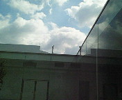 みっ、見えない。。。