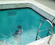 プールもアートでっせ！