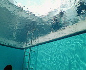 プールの中でっせ！