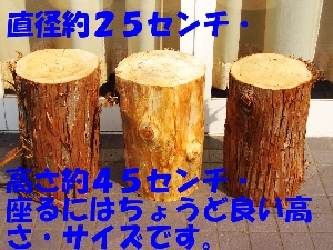 hinoki.jpg