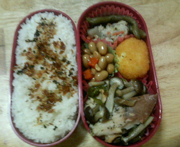 20080421bento