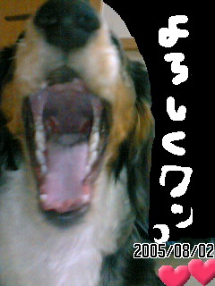 ＴＯＹ　（５）