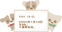 自己紹介　（ＴＯＹ）