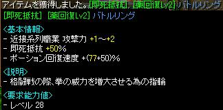 薬回復Lv2即死抵抗指