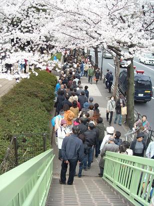 千鳥ヶ渕への行列