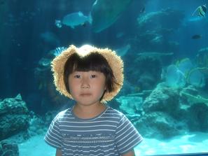 水族館コマ