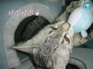 寝起きでがぶがぶ