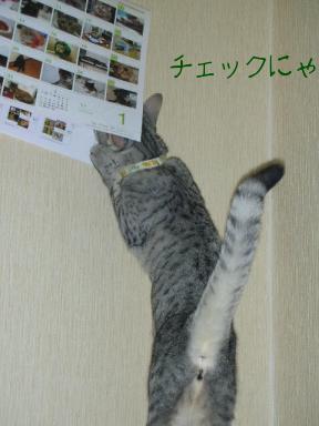 チェックにゃ！