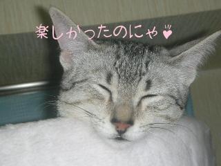 たのしかったのにゃぁ