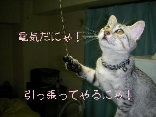電気だにゃ！
