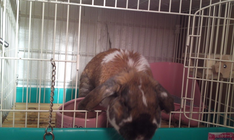 飛び出すよ～＾＾