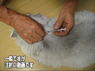 ？？？何かしましたか～？