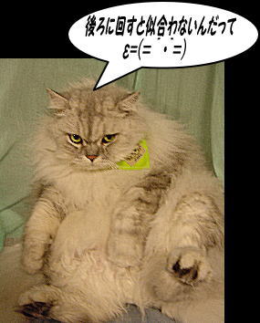 似合わないんだってε=(＝｀・´＝)　プンスカプン!