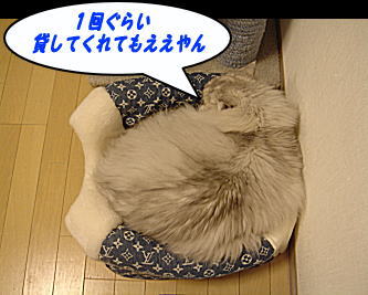 ええやんか～！