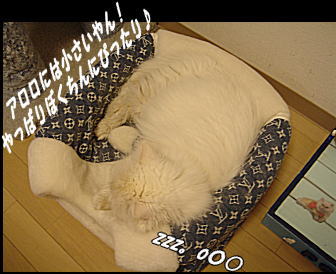 ぺちゃんこになったやん！