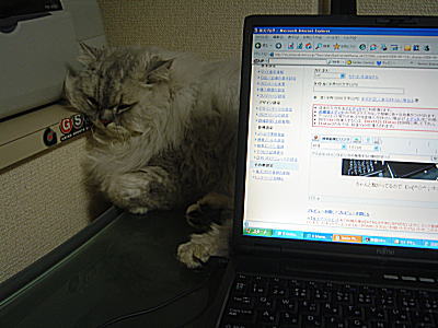 現在のアスティ
