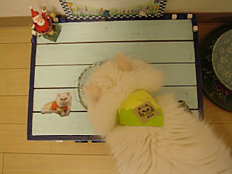 バンダナポンタ