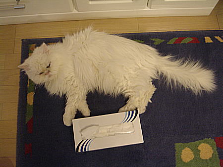 ポンタとティッシュボックス