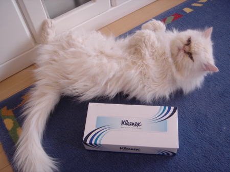 寝起きでご機嫌ななめー!!