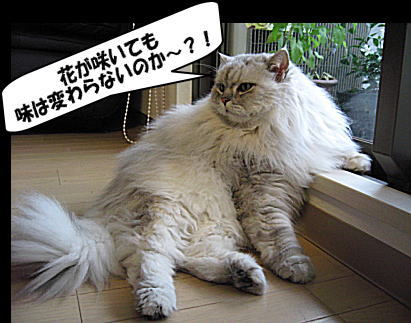 おいら　心配だよ・・・