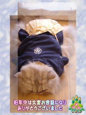 ご挨拶アスティ