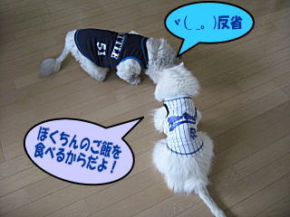 反省するアスティ