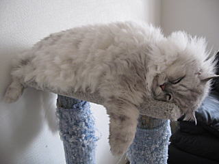 疲れたぁ・・・