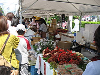 黒豆コロッケ並んでます